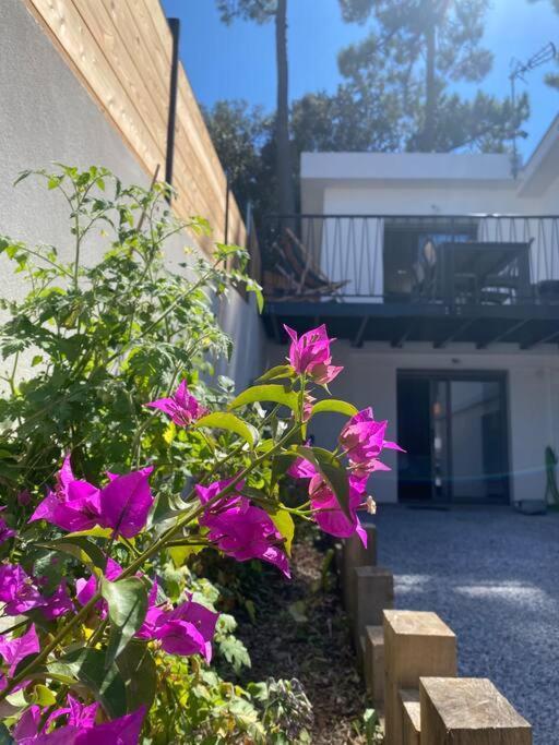 Guest House Dans Le Parc A 400M De La Mer Saint-Georges-de-Didonne Exterior foto